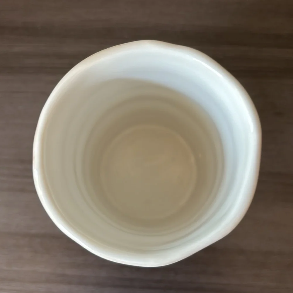 Croscill Floral Tulip Bud Bathroom Cup and Soap‎ Dish Ceramic Set